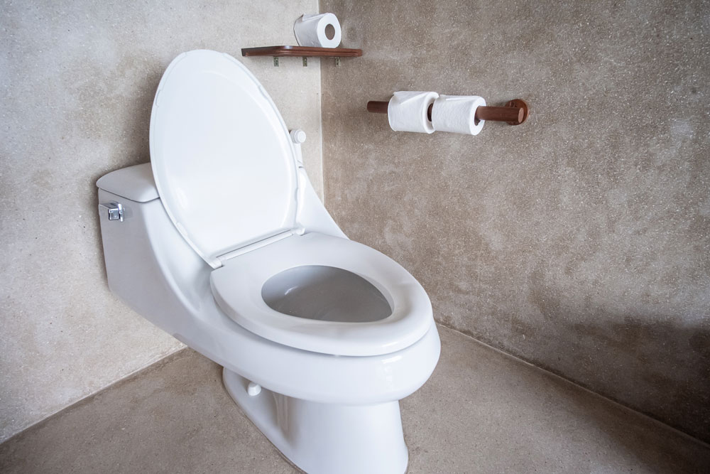 Affordable toilet upgrade ideas for bathrooms in Austin, Round Rock, and Cedar Park